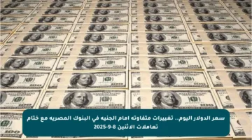 سعر الدولار اليوم.. تغييرات متفاوتة أمام الجنيه في البنوك المصرية مع ختام تعاملات الاثنين 8-9-2025